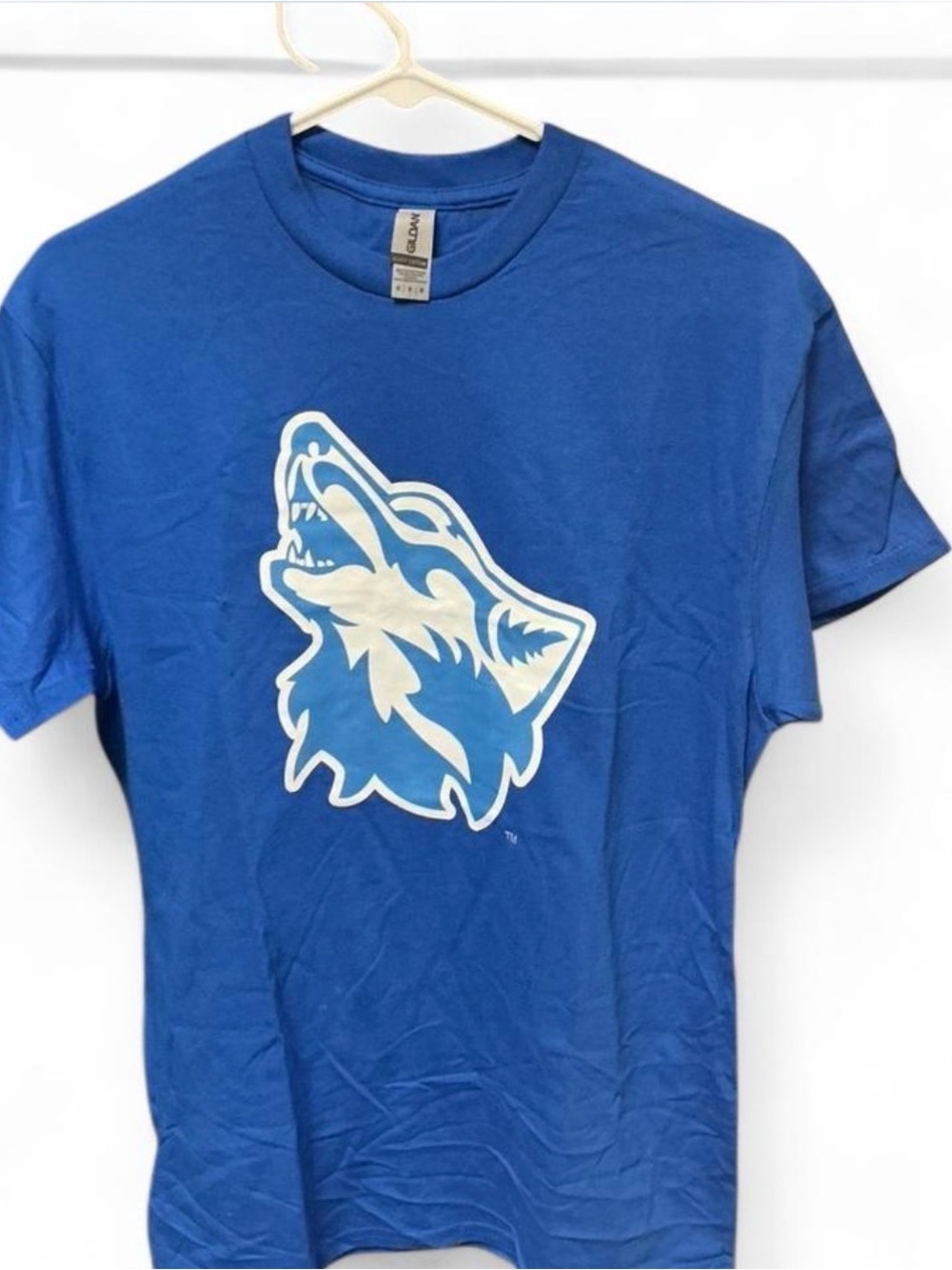 Gildan x Cheyney University Tee NWT Medium